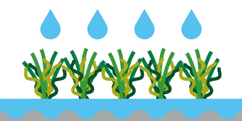 驚きの透水性