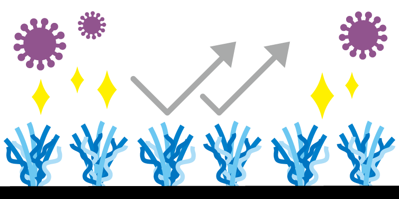抗菌・抗カビ