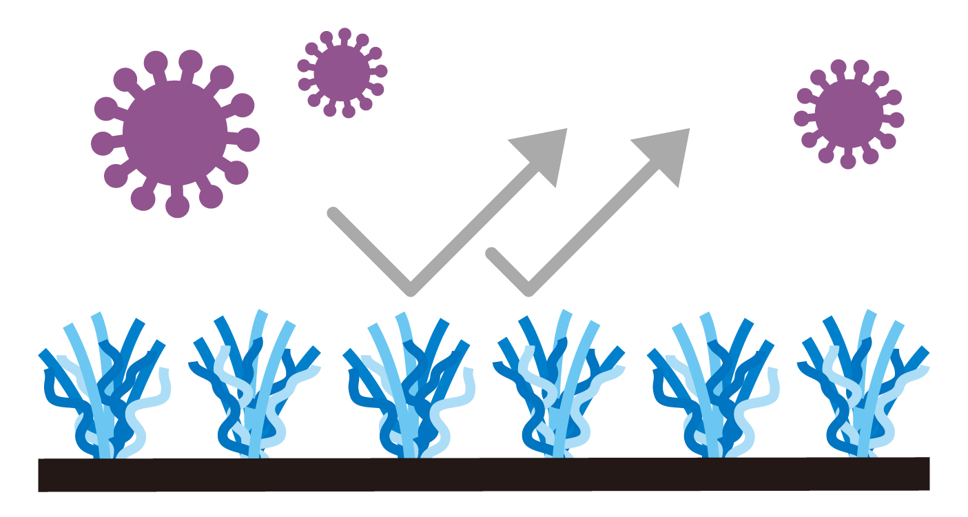 抗菌イメージ図